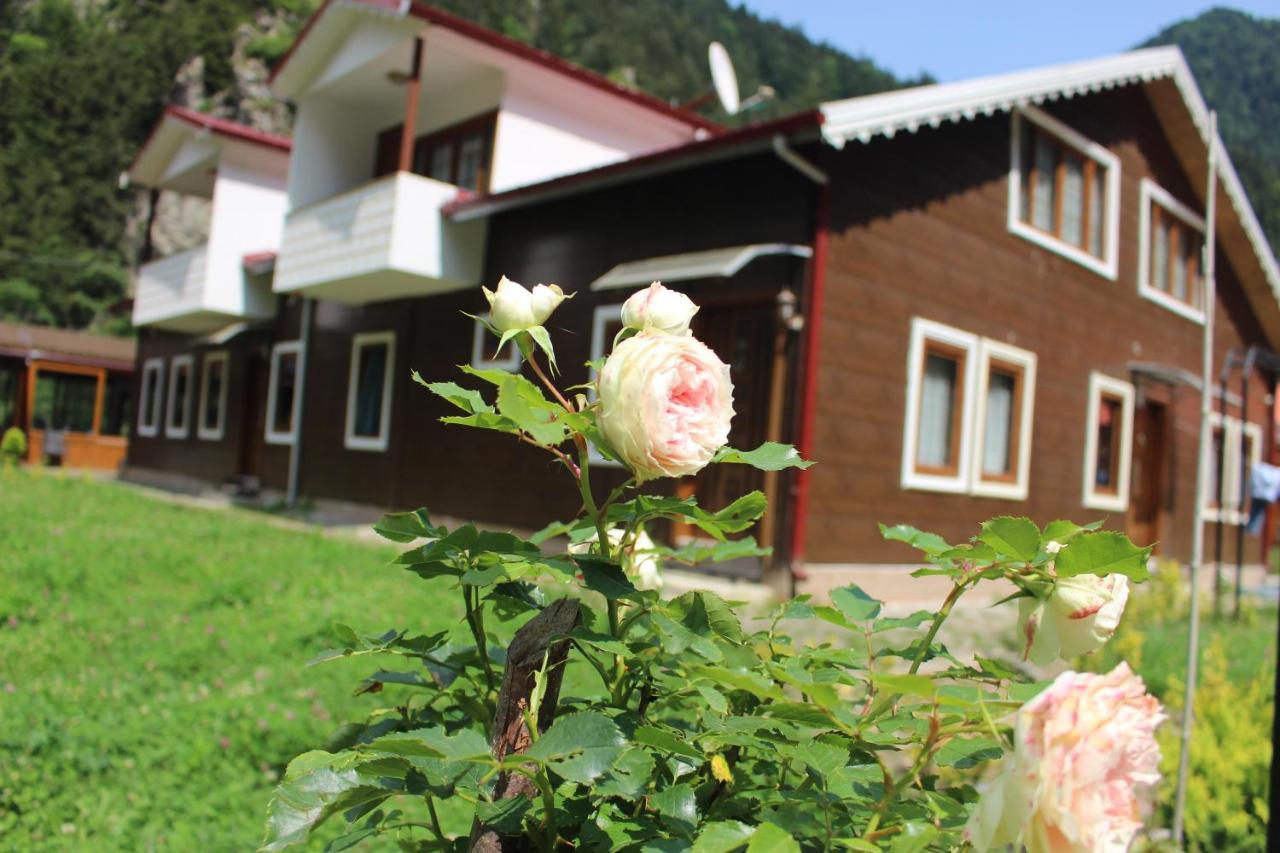 Uzungol Selale Otel Bungalow Экстерьер фото