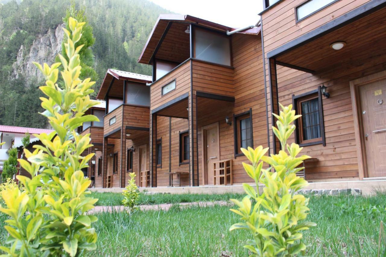Uzungol Selale Otel Bungalow Экстерьер фото